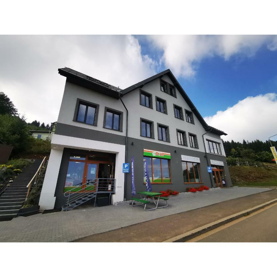 Apartamenty Zieleniec Душники-Здруй Экстерьер фото